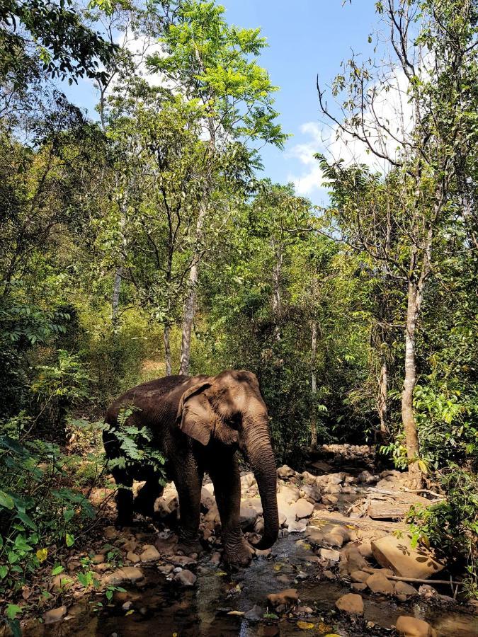 Srey Leap Homestay Banlung Luaran gambar